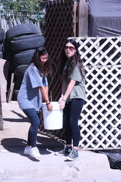 DSC_2039 (Large).JPG